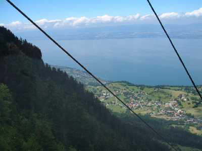 View from Gondola in Summer