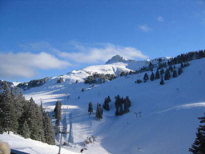 View of pistes from restaurant